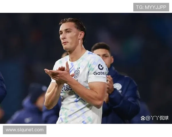 塔尔迪尼球场帕尔马维罗纳闷战