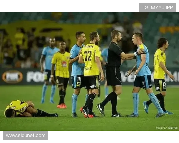 澳超季后赛焦点战前瞻